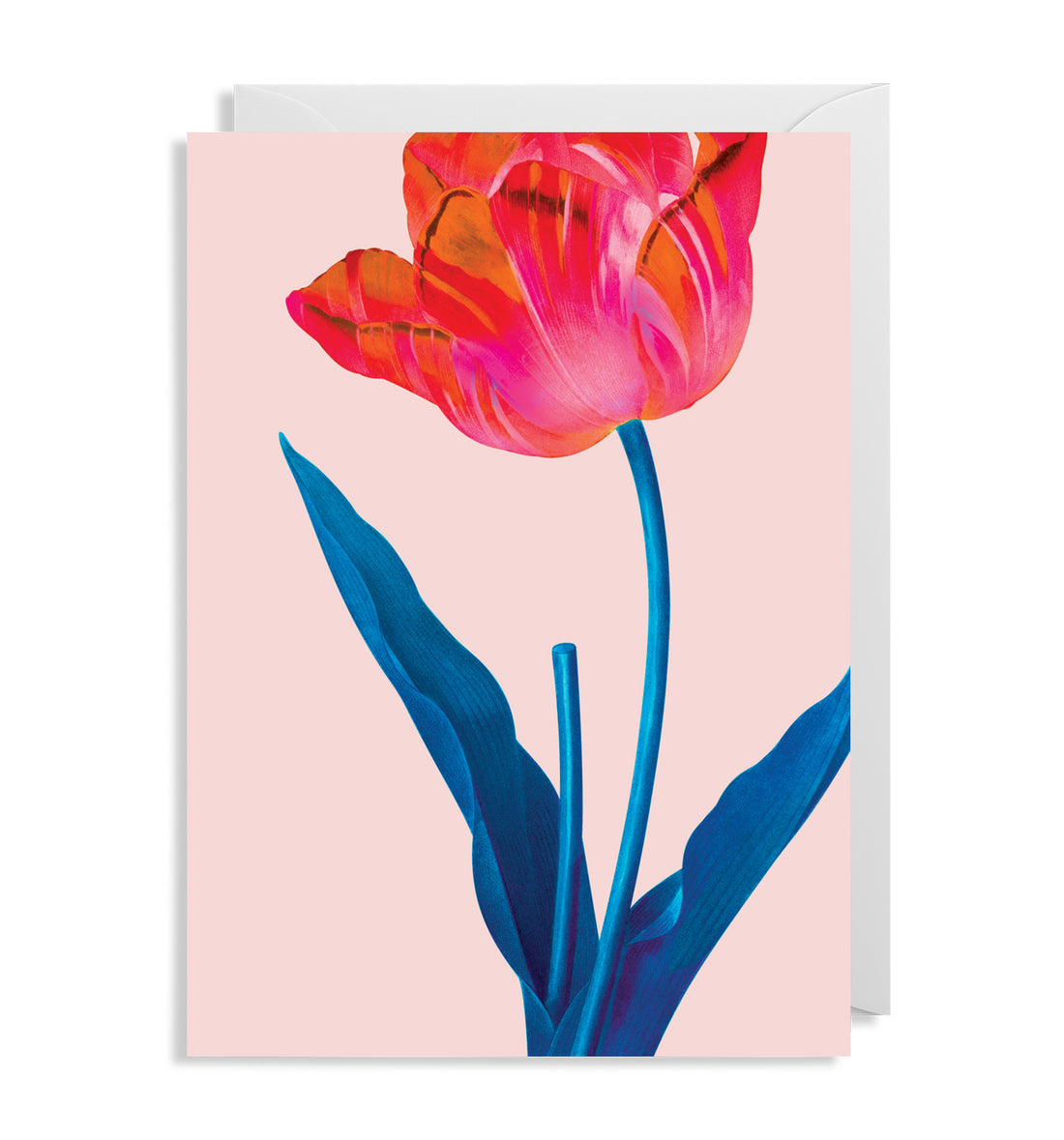 Carte florale de tulipes