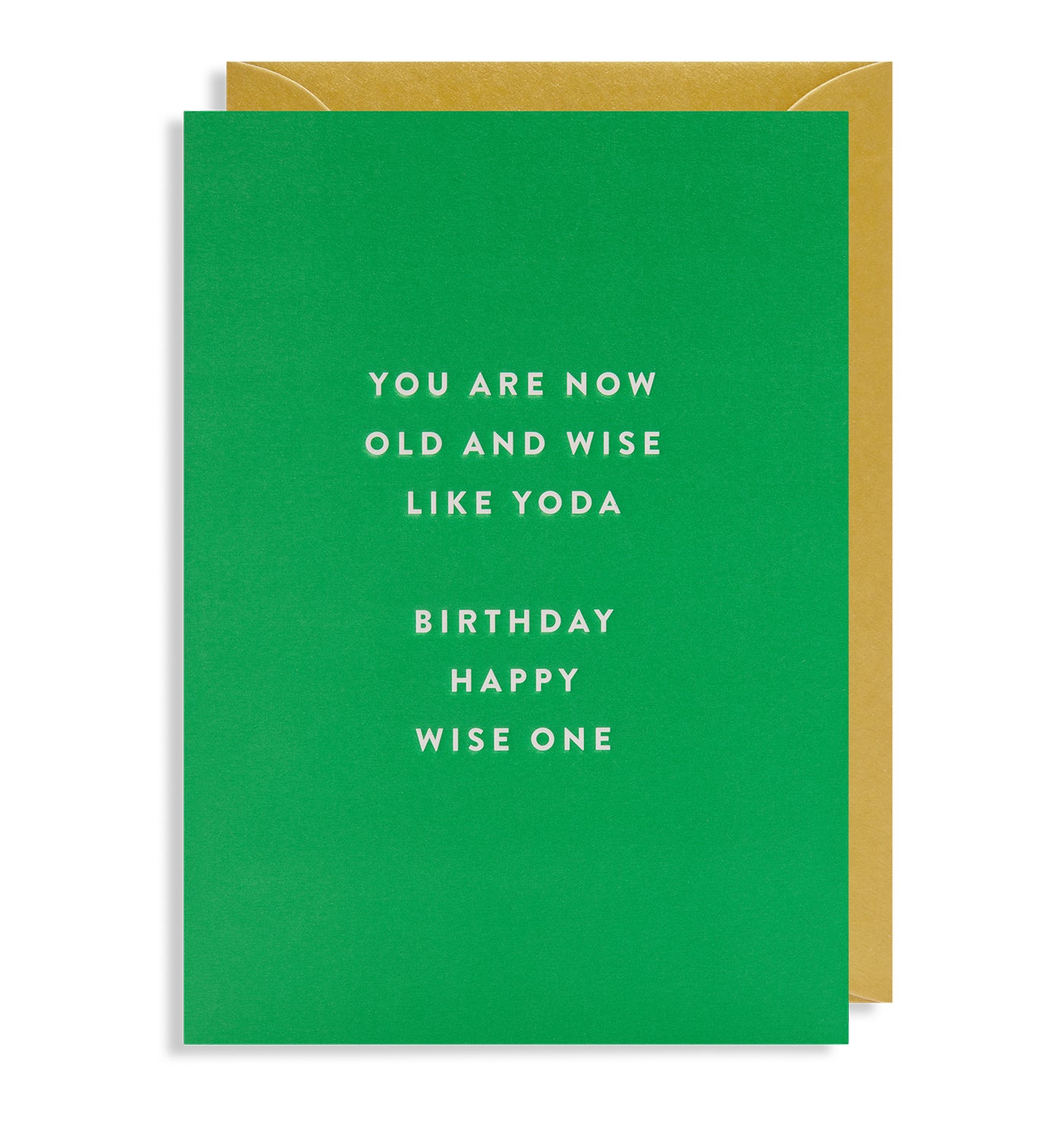 Birthday Happy, Wise One Card