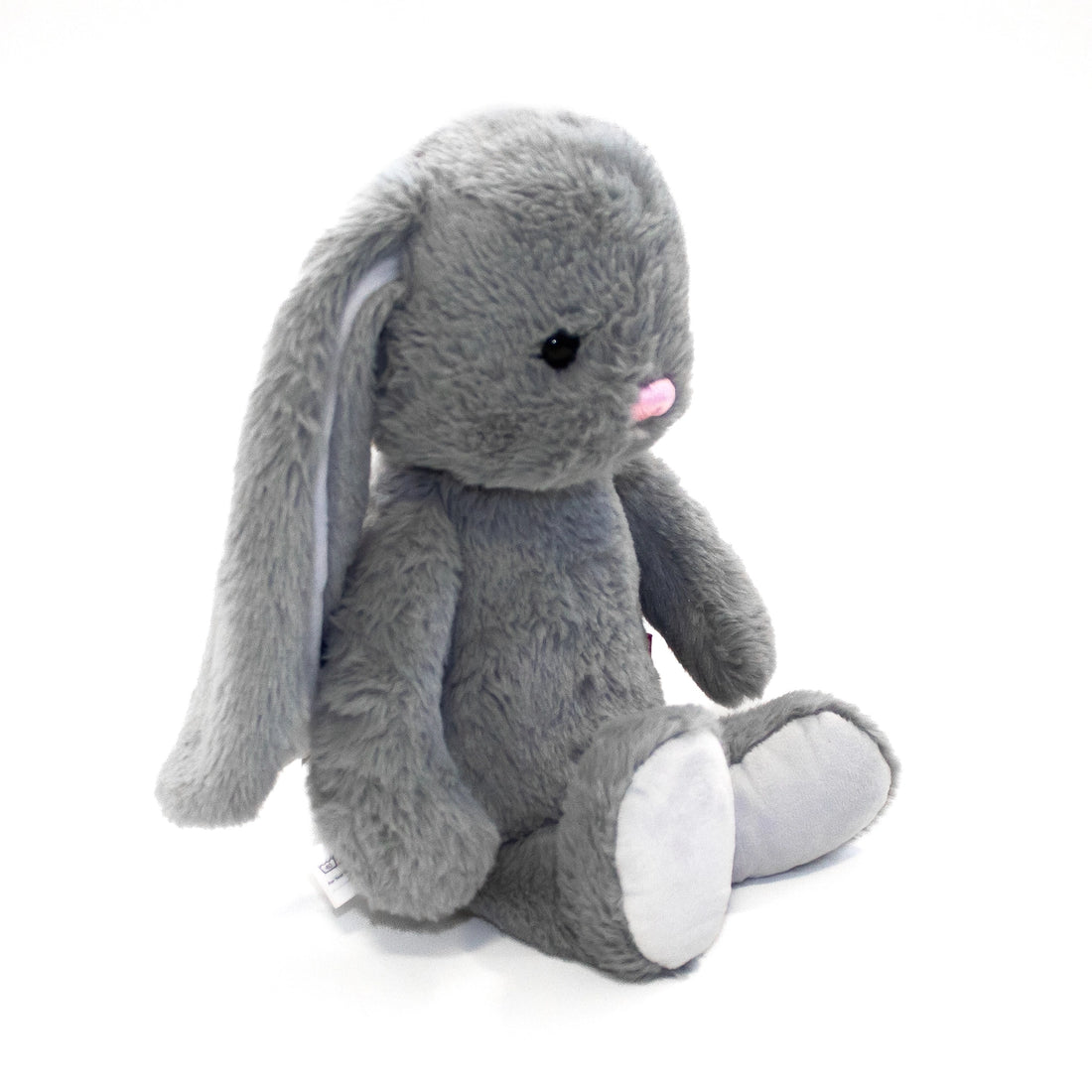 Lapin gris