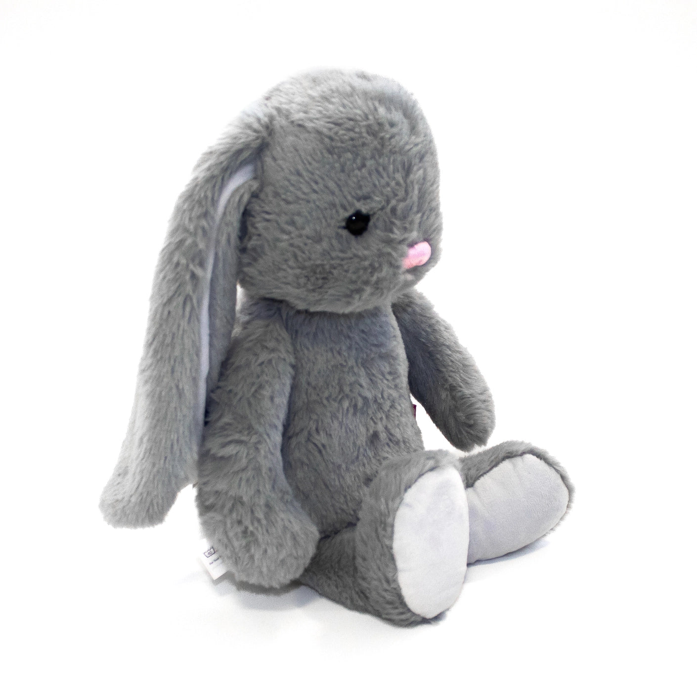 Grey Bunny