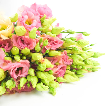 Pink Lisianthus