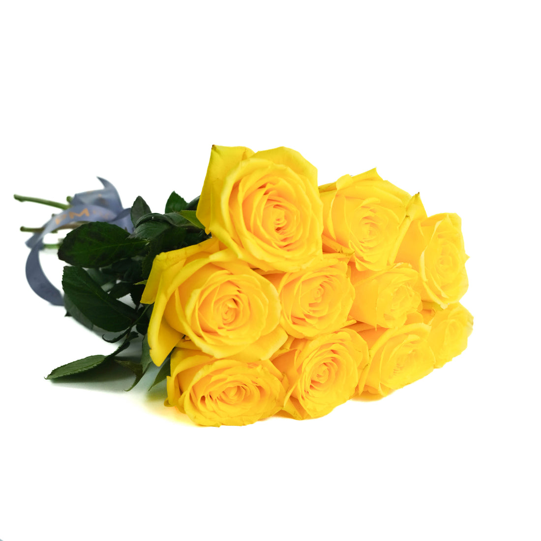 Yellow Momentum Roses