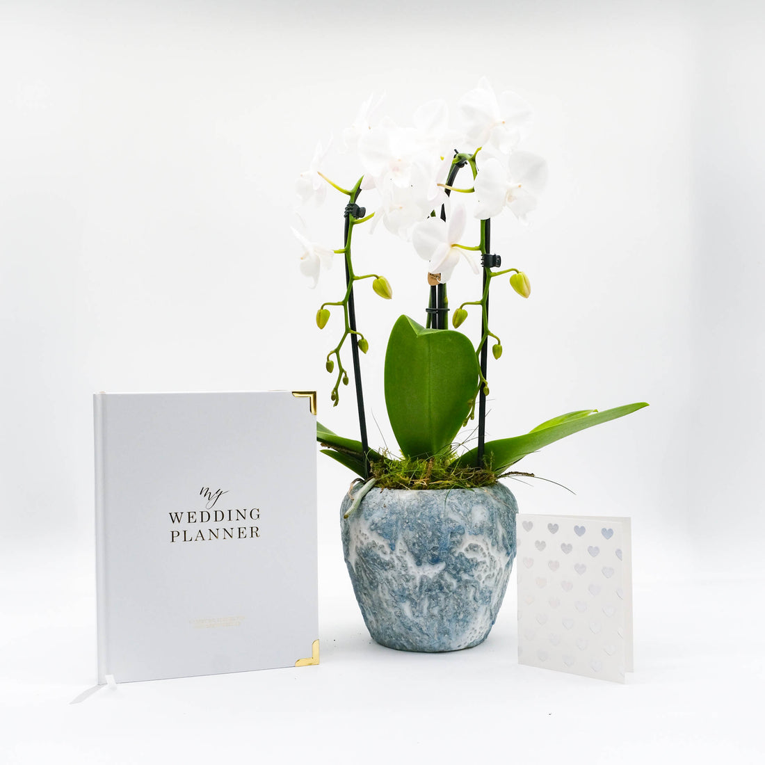 Coffret cadeau de fiançailles Orchidée