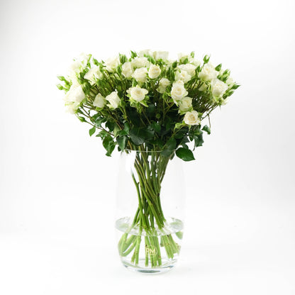 White Spray Roses