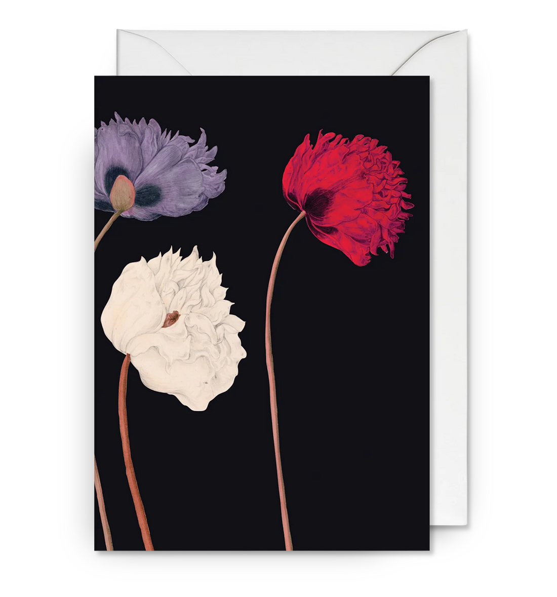 Poppys Flower Card