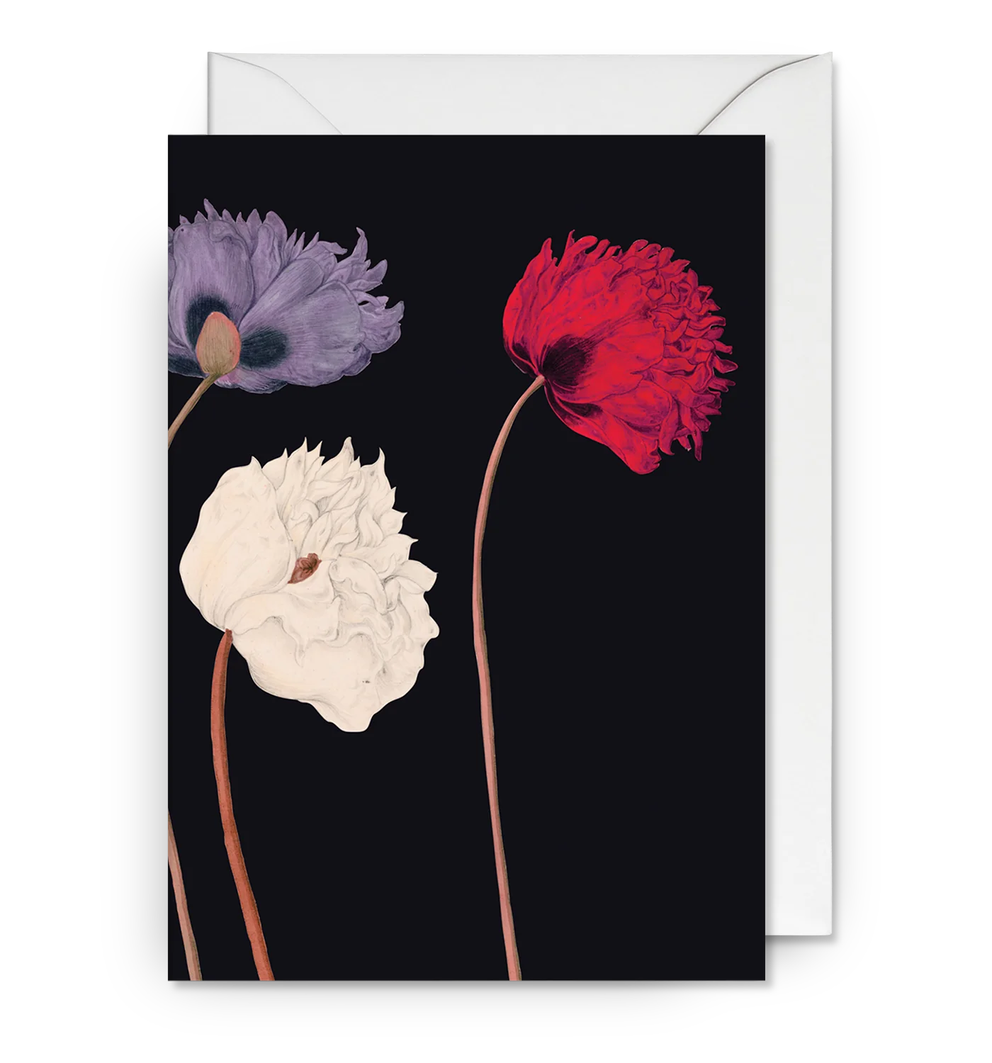 Poppys Flower Card