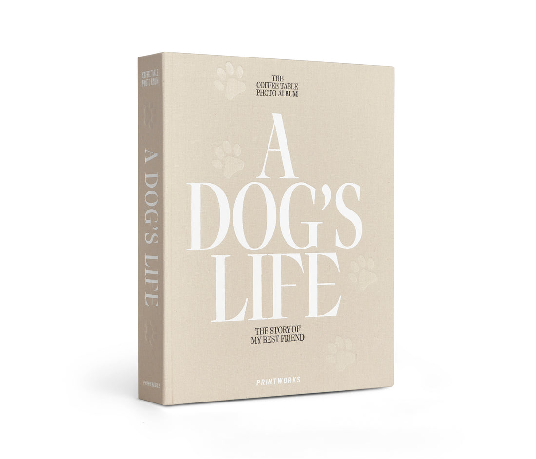 Photo Album - A Dog Life